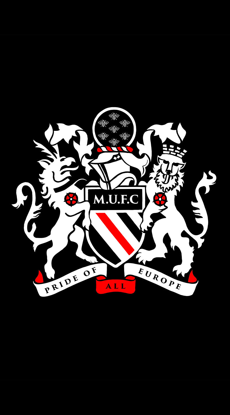 ** COMING JUNE 2026 ** Pride of all Europe Beach Towel (Copy)