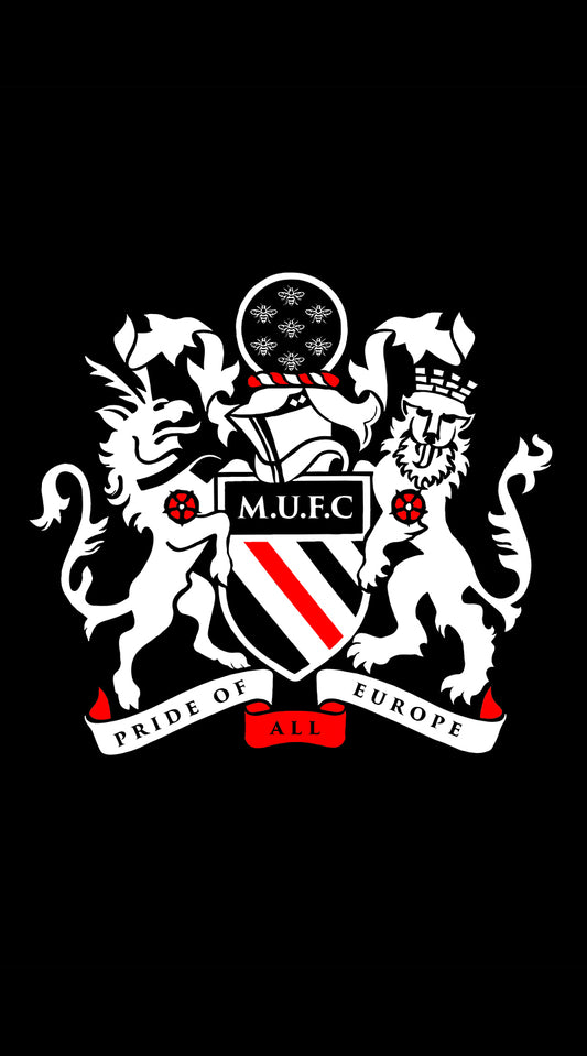 ** COMING JUNE 2026 ** Pride of all Europe Beach Towel (Copy)